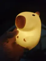 Veilleuse Capybara Mignonne Pour Enfant – Image 2